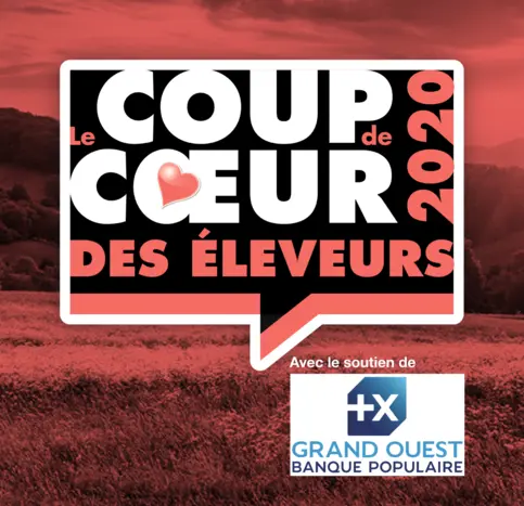 coupdecoeur.png