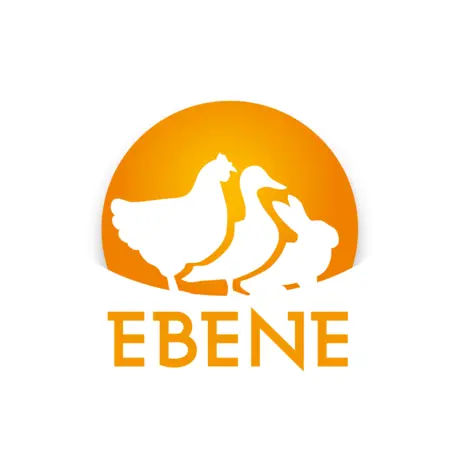 ITAVI-Ebene-logo-transparent.png