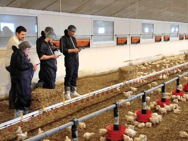 La formation comprend une partie pratique.