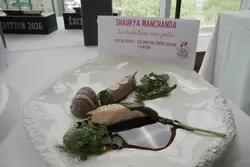 "La dinde dans mon jardin" de Shauhrya Manchanda.