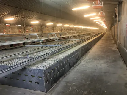 -Le produit Fossil Shield appliqué dans un élevage de reproducteurs.