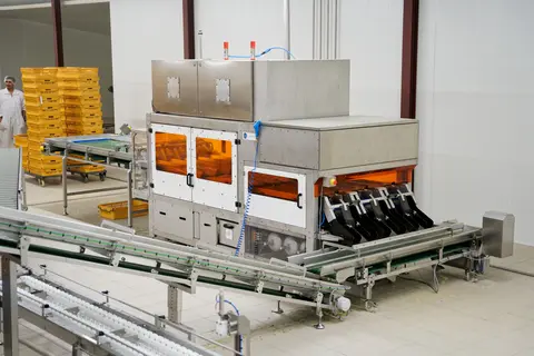 Système automatisé du sexage à l’aile développé par le groupe BD France en partenariat avec l’entreprise française Ceva Ecat-iD, spécialist