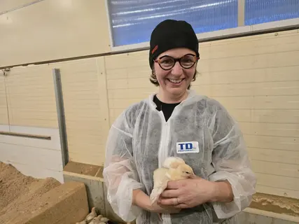 Sylvaine Picard a fait le choix de la vaccination in ovo contre la maladie de Gumboro pour plus de sérénité.